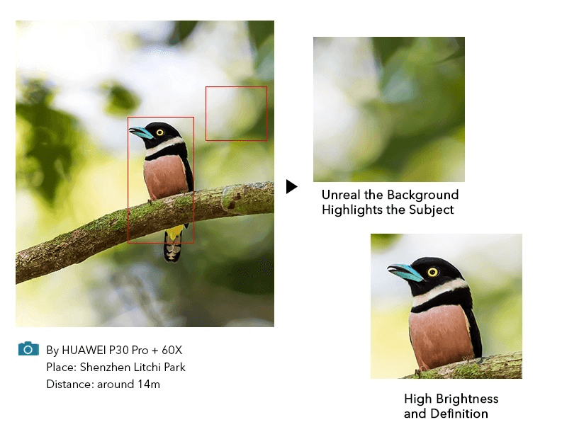 Smartphone Photography