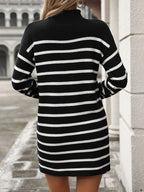Striped Mock Neck Long Sleeve Mini Dress - All In The Bag